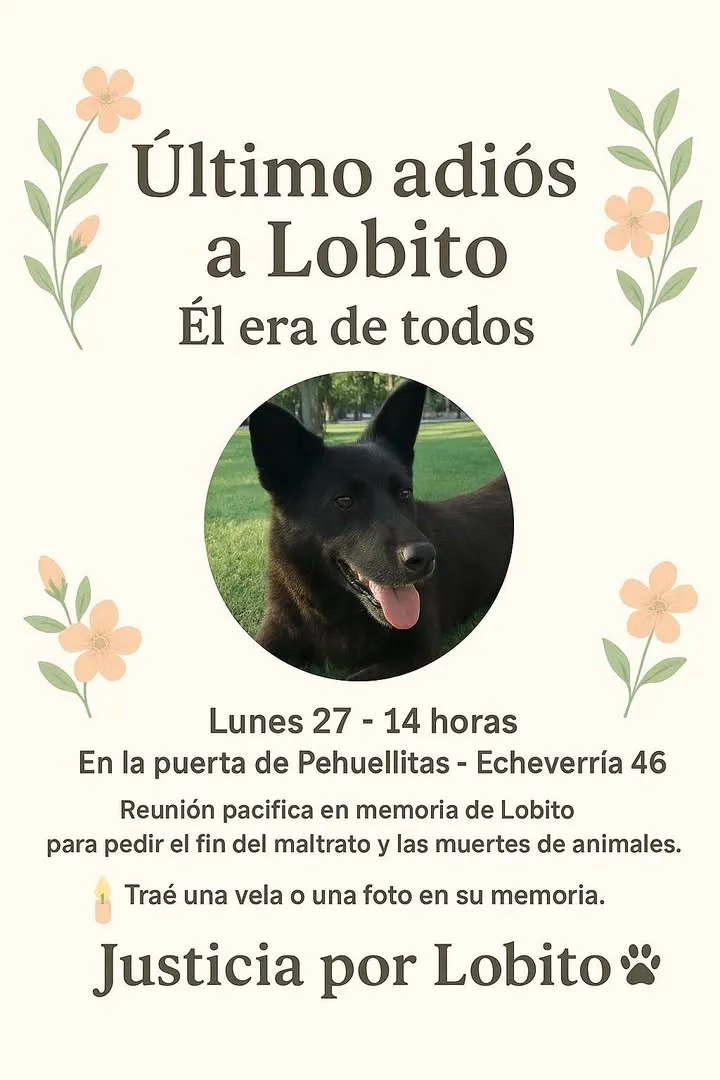 570437097_122215472222316725_1734058933193531192_n