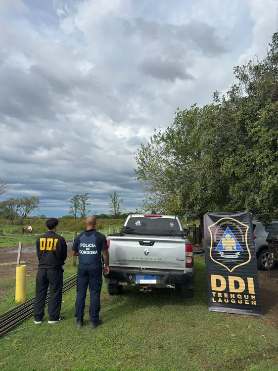 WhatsApp Image 2026-04-06 at 21.53.04