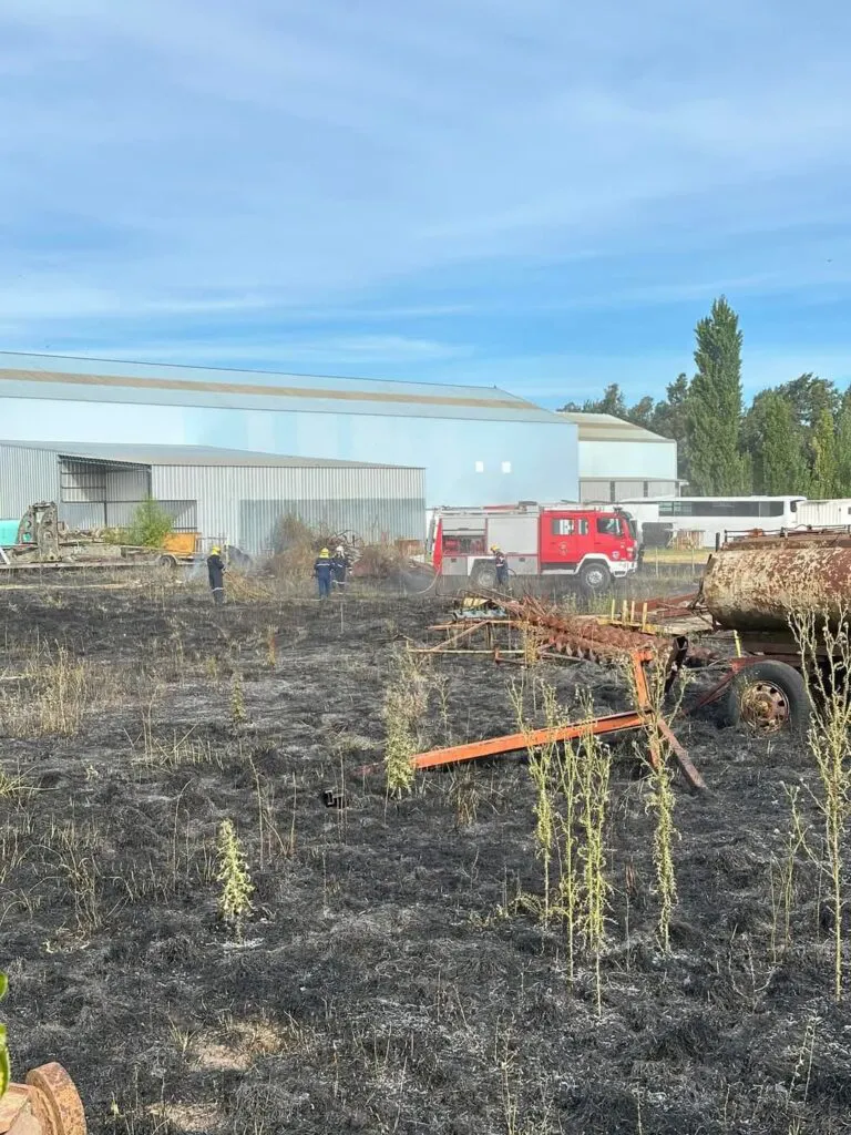 WhatsApp-Image-2025-01-25-at-20.34.33-1-768x1024