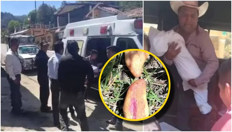 Mueren-tres-ninos-tras-comer-pan-envenenado-en-Chiapas