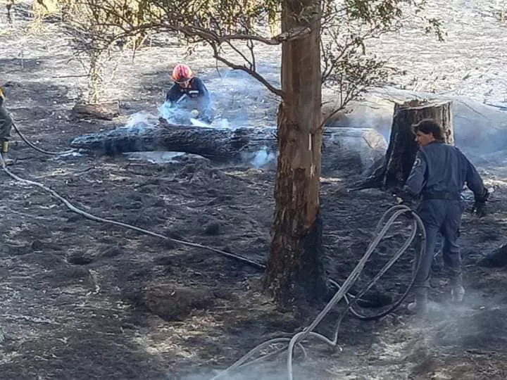 320053460_687847992705493_5429991142110160493_n