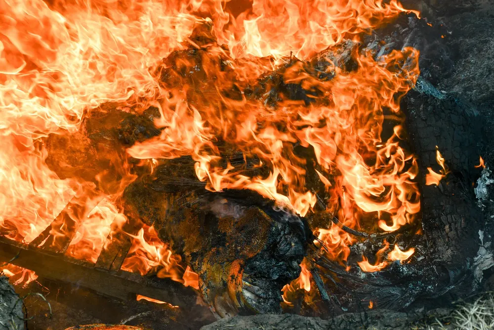 448401158_949003650599835_2586959103805556534_n