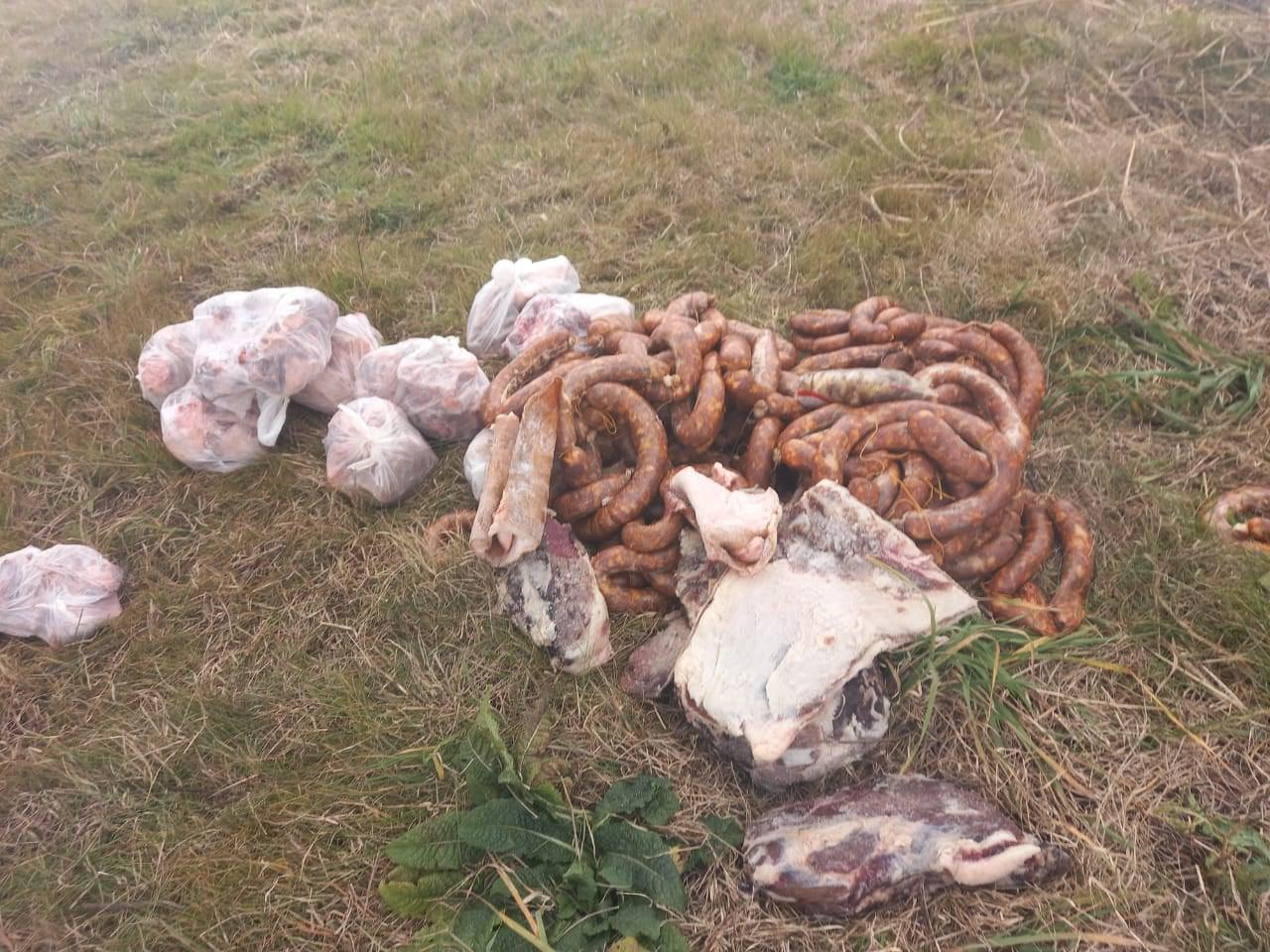 207156003_2994697130803059_6631764036949733499_n