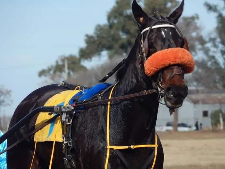 449164923_7909866819036225_5293575418794689338_n