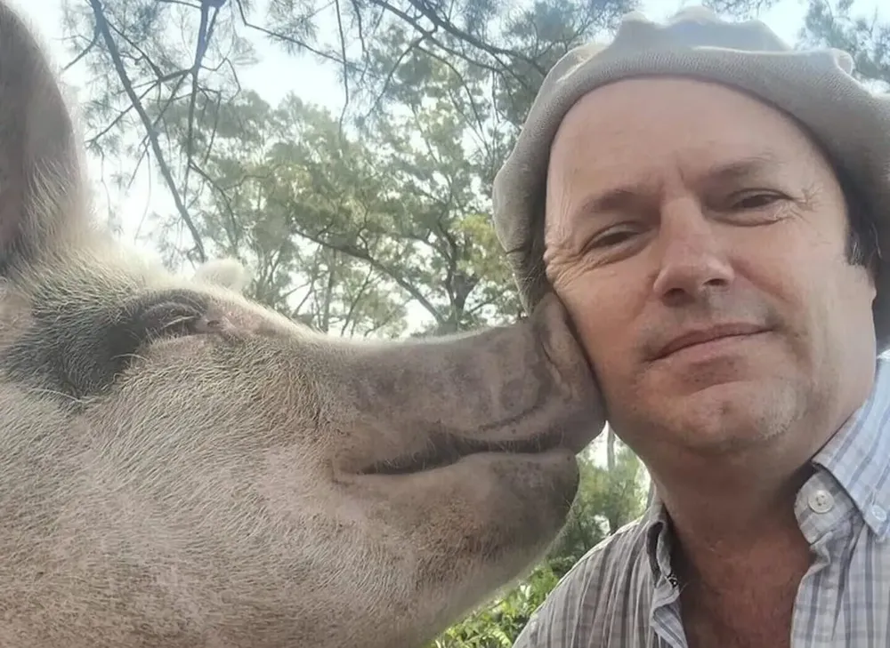 jose-perkins-besado-por-un-chancho-e1736605977763