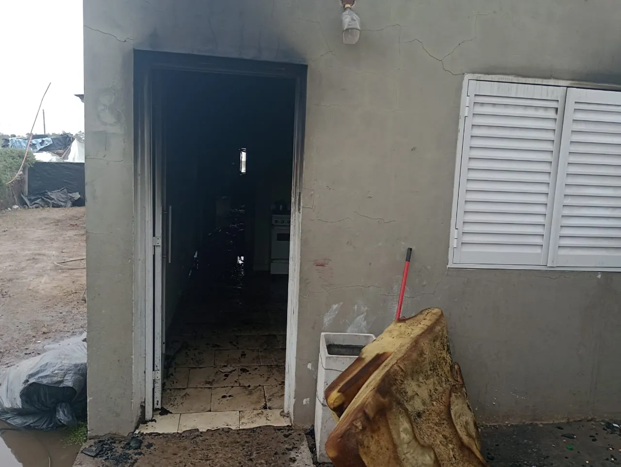 WhatsApp Image 2024-10-07 at 20.39.33