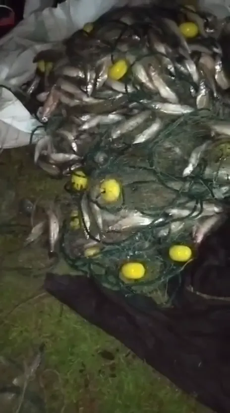 vlcsnap-2025-08-19-23h59m56s192