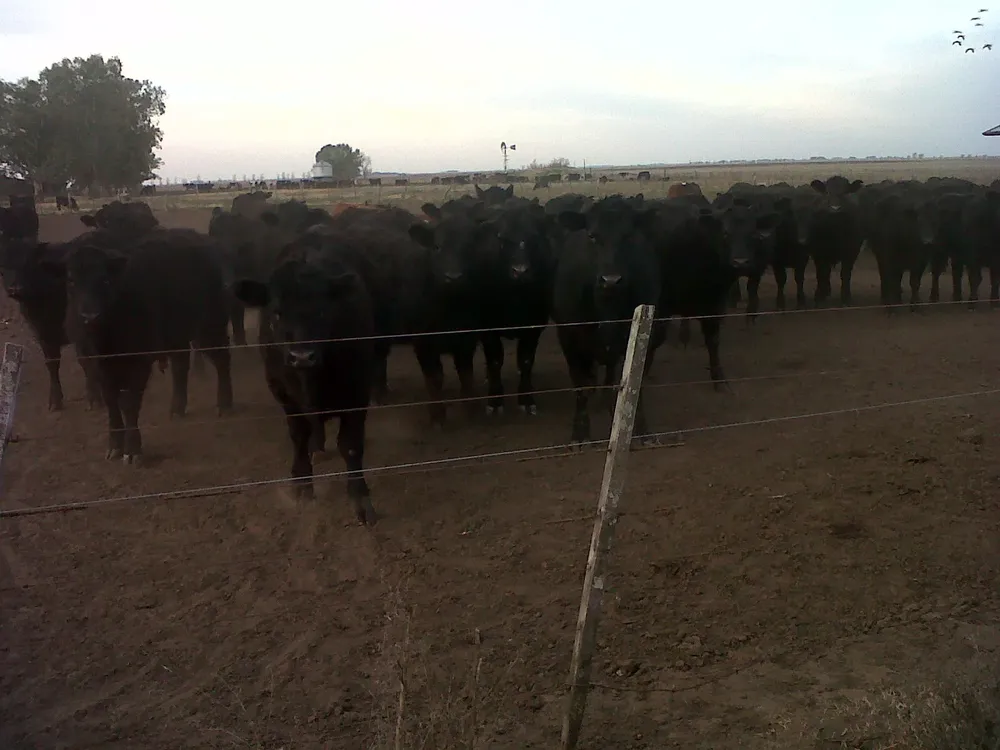 466159094_10228613256771279_6579982112292964894_n