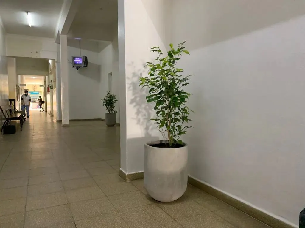 308781011_137648745669488_7311907703058051655_n