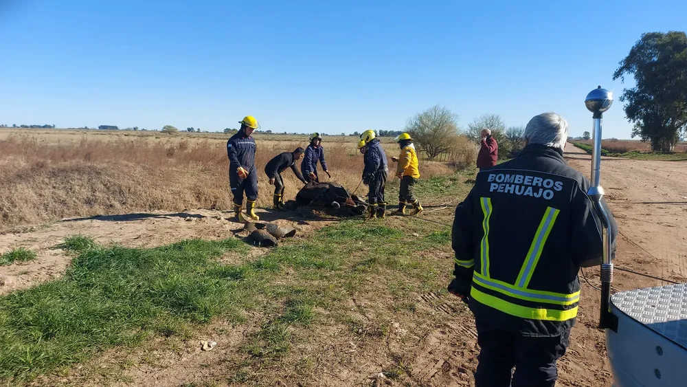 450381852_1024357295719821_814102263200943089_n