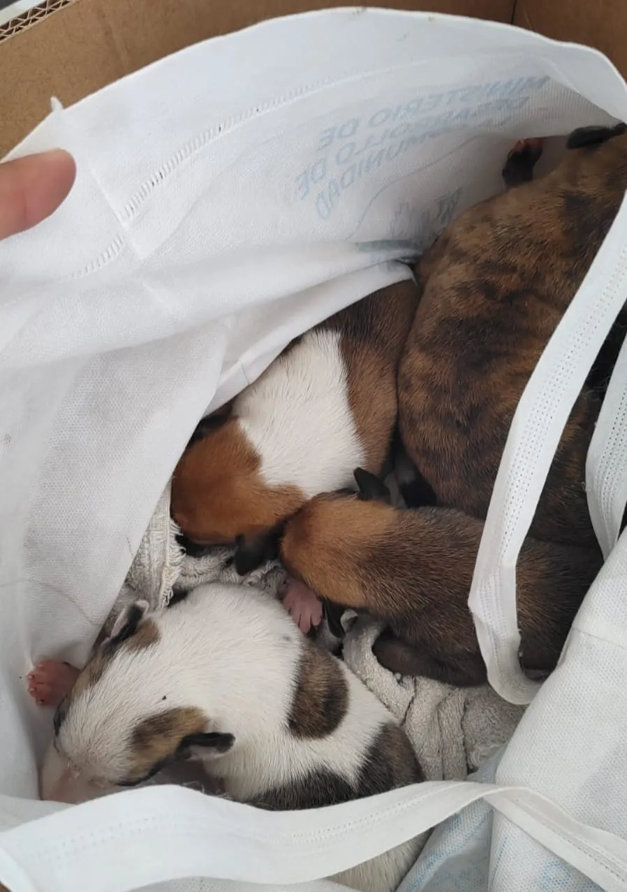 472426852_1102349471931918_1656317878416427228_n