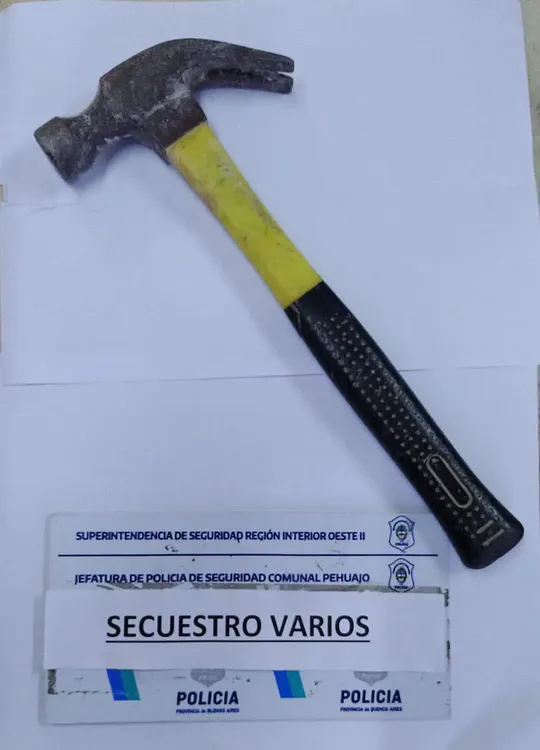 Imagen de WhatsApp 2024-02-02 a las 11.30.14_e3839167