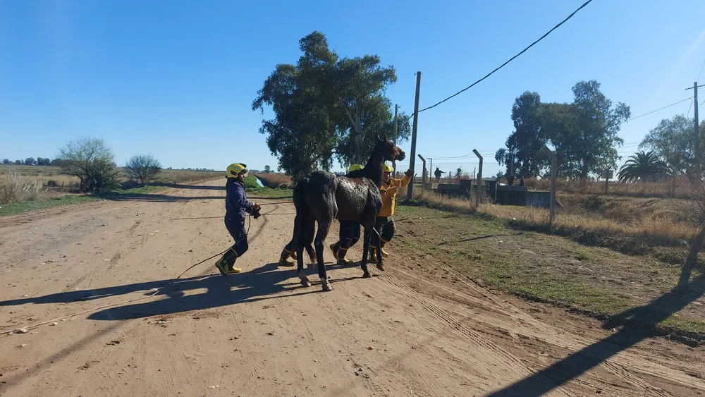 450343306_1024357495719801_8090949728757926930_n