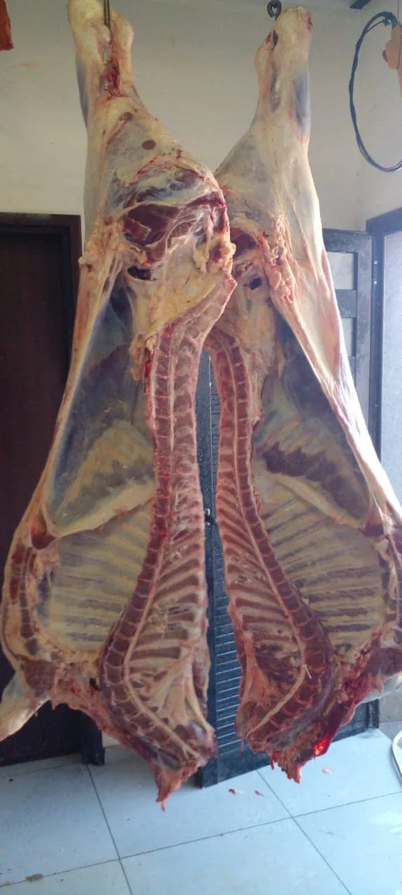 431823542_2312205245651152_4589833439451491607_n