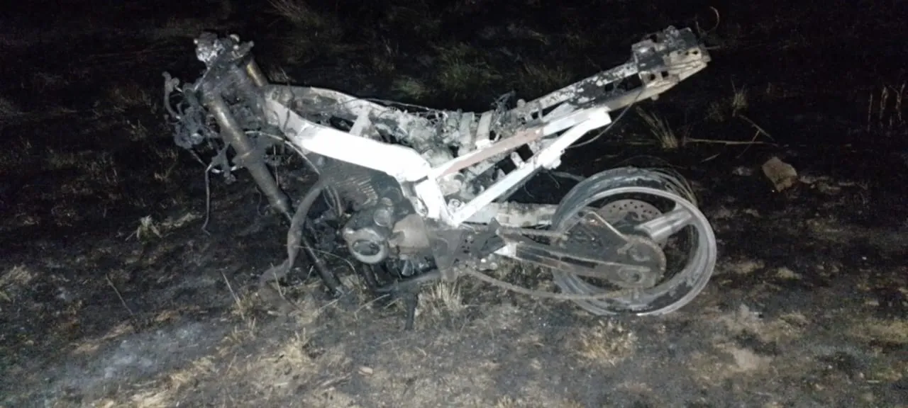 WhatsApp Image 2024-02-05 at 23.23.28