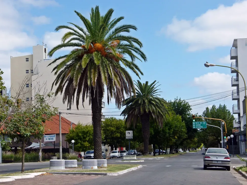 Candidatos-a-intendente-de-Trenque-lauquen