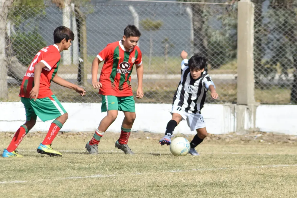 432998317_893084596191741_5611647181170805542_n