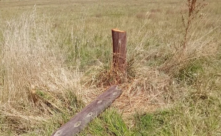 640376506_928345053040986_7561073227208759138_n