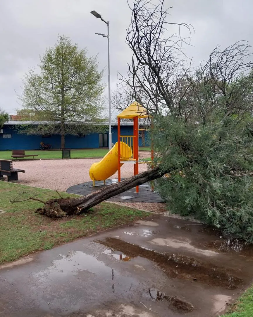 549370453_1325642099602653_8398150911850295633_n