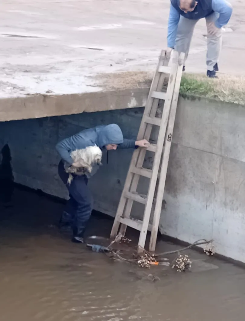 Rescate de Pehuellitas