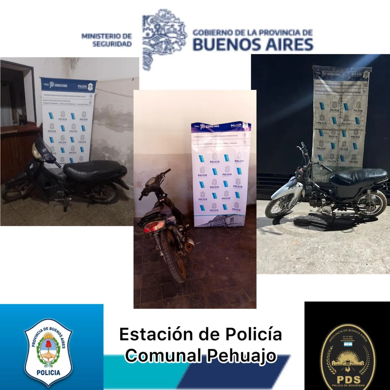 WhatsApp Image 2024-12-12 at 10.24.53