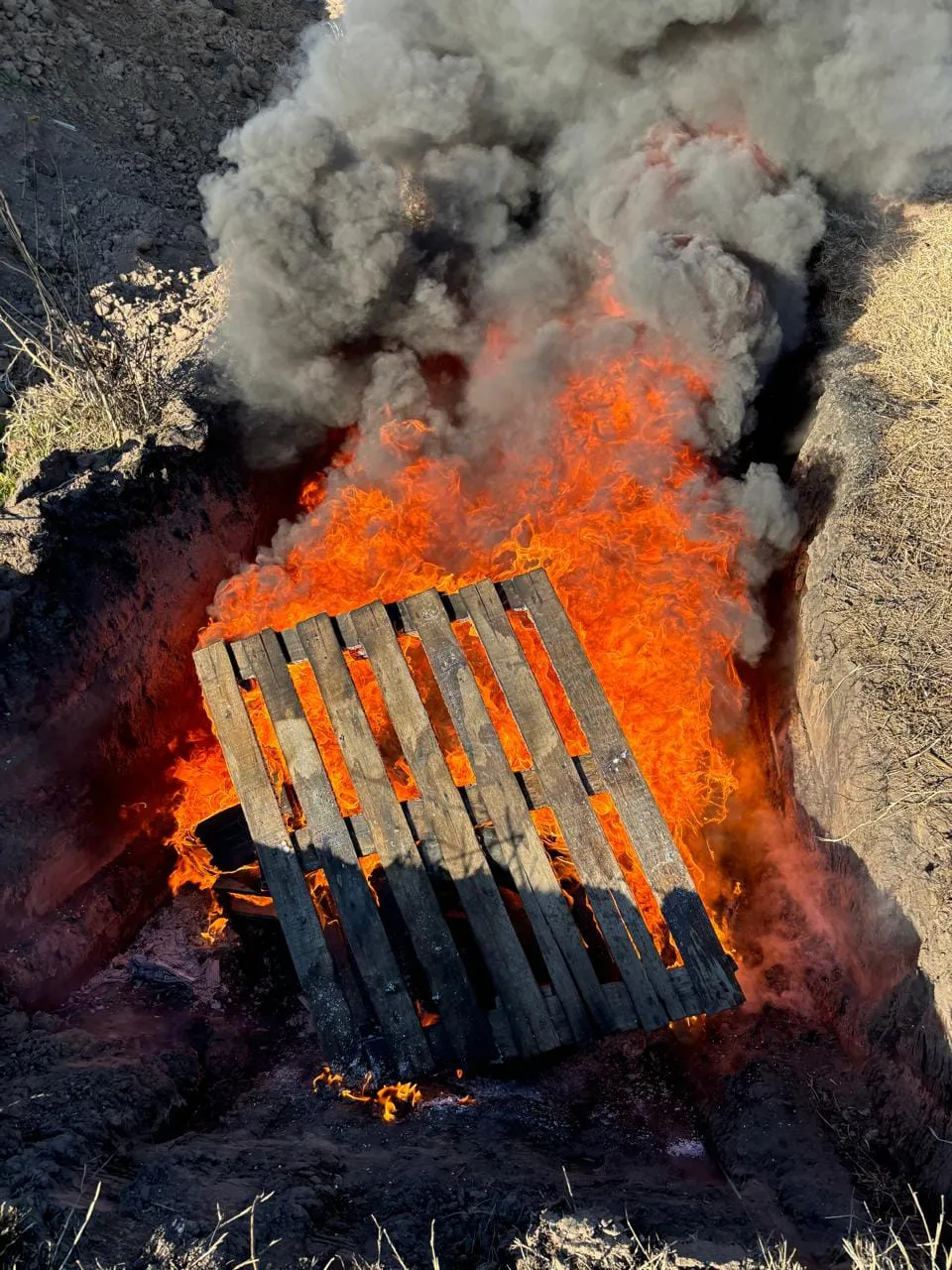 450595578_967467198753480_3941281701199285899_n