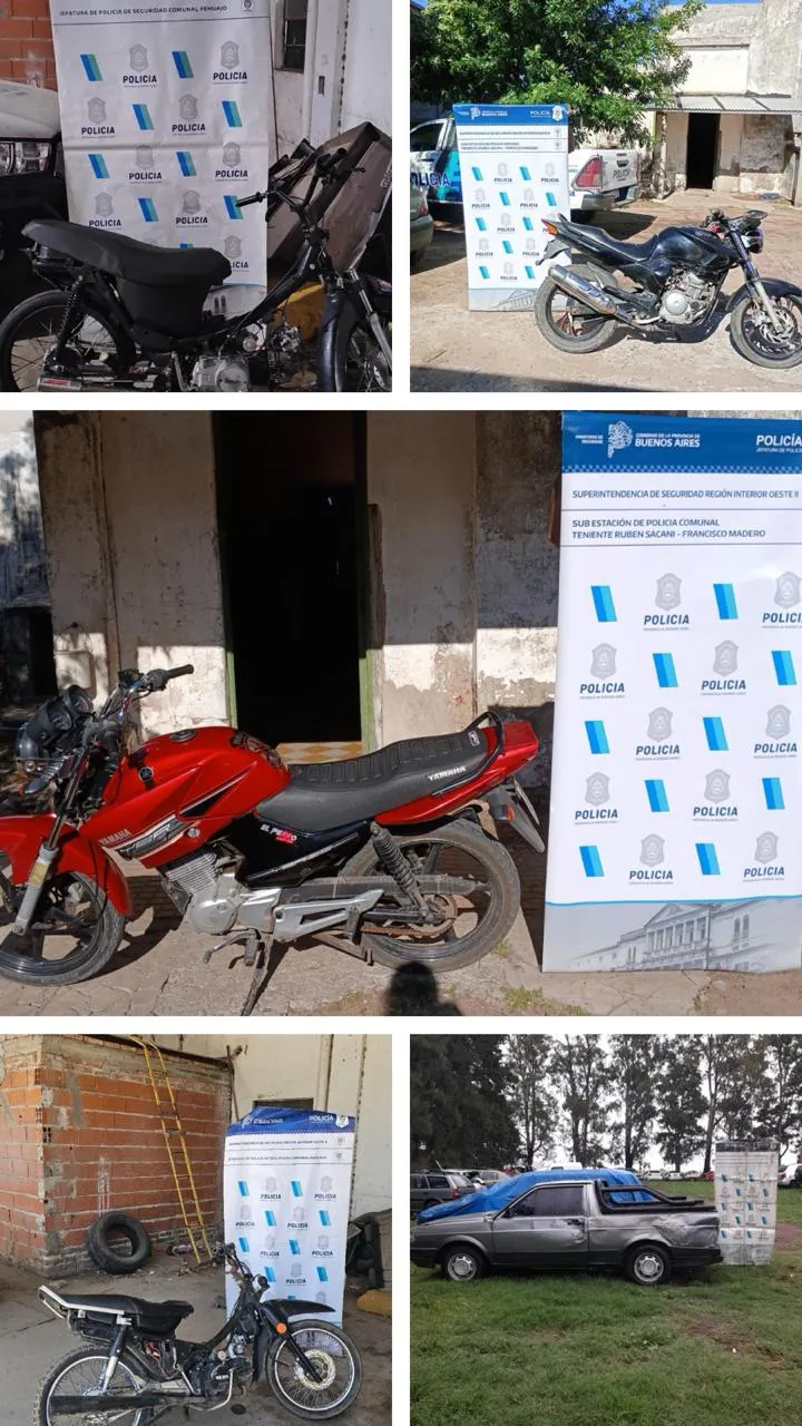 WhatsApp Image 2024-11-11 at 13.01.18 (1)