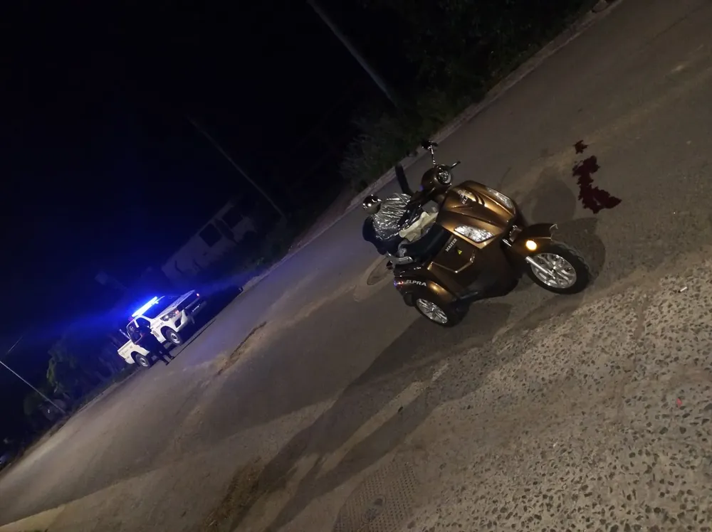 WhatsApp Image 2024-11-13 at 21.21.54