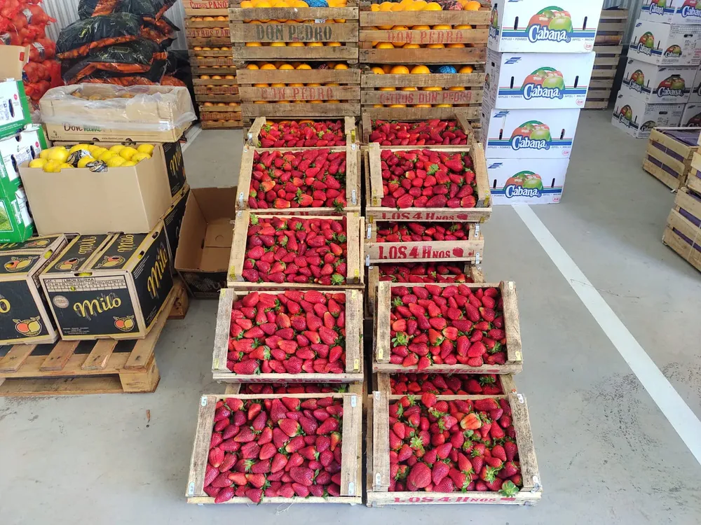 El Mercado Concentrador Frutihortícola de Pehuajó ya abrió sus puertas a  todo público.