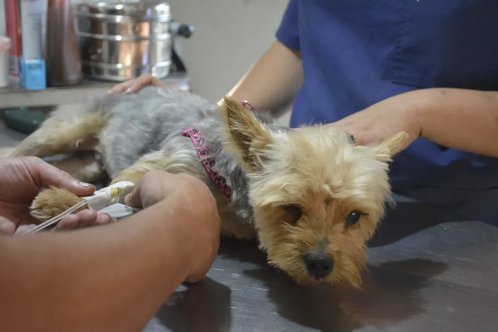 344124084_772744124361756_4121778322781832044_n