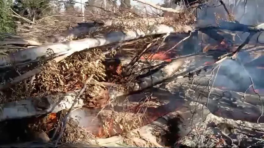 vlcsnap-2024-08-06-13h41m37s140