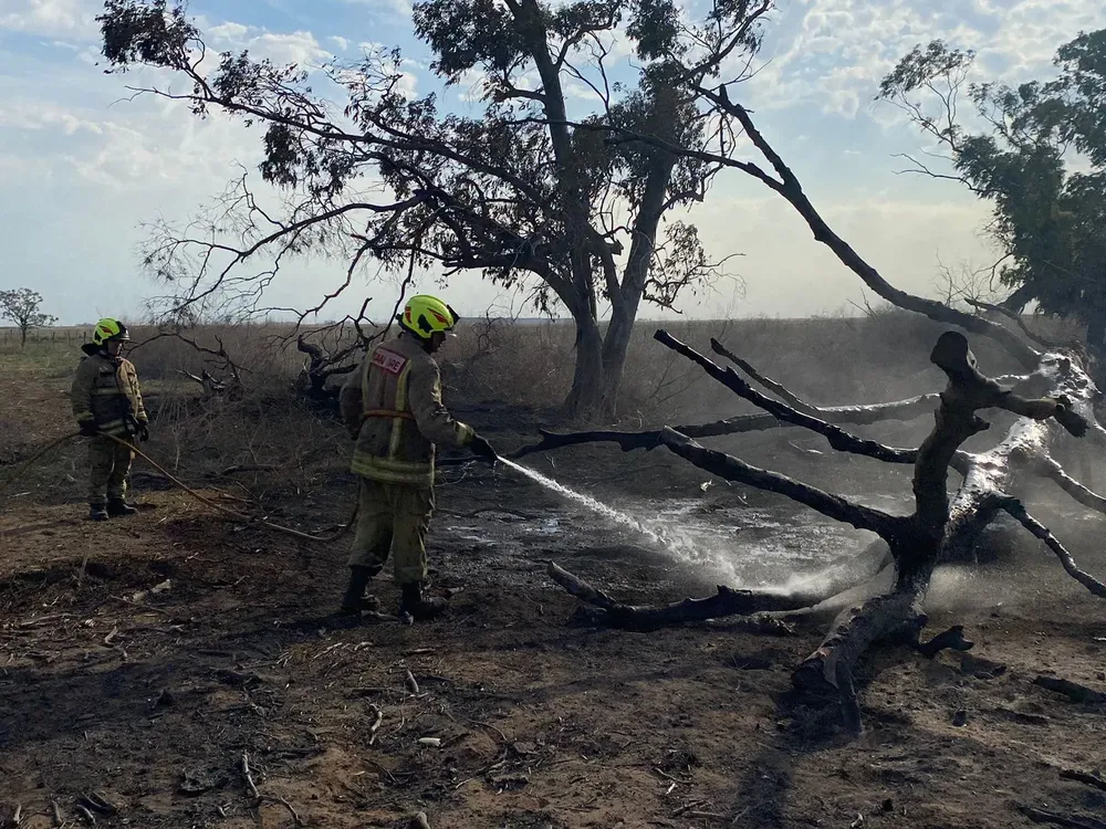 462576067_950835977089154_8964196900457447376_n