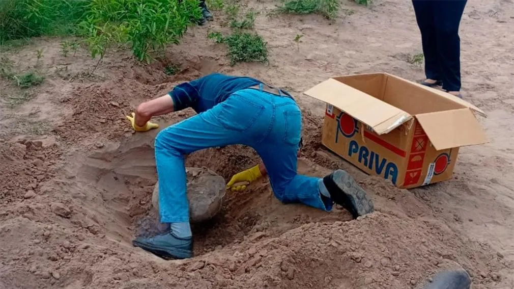 1010x567_hallazgo-restos-termas-540468-104335