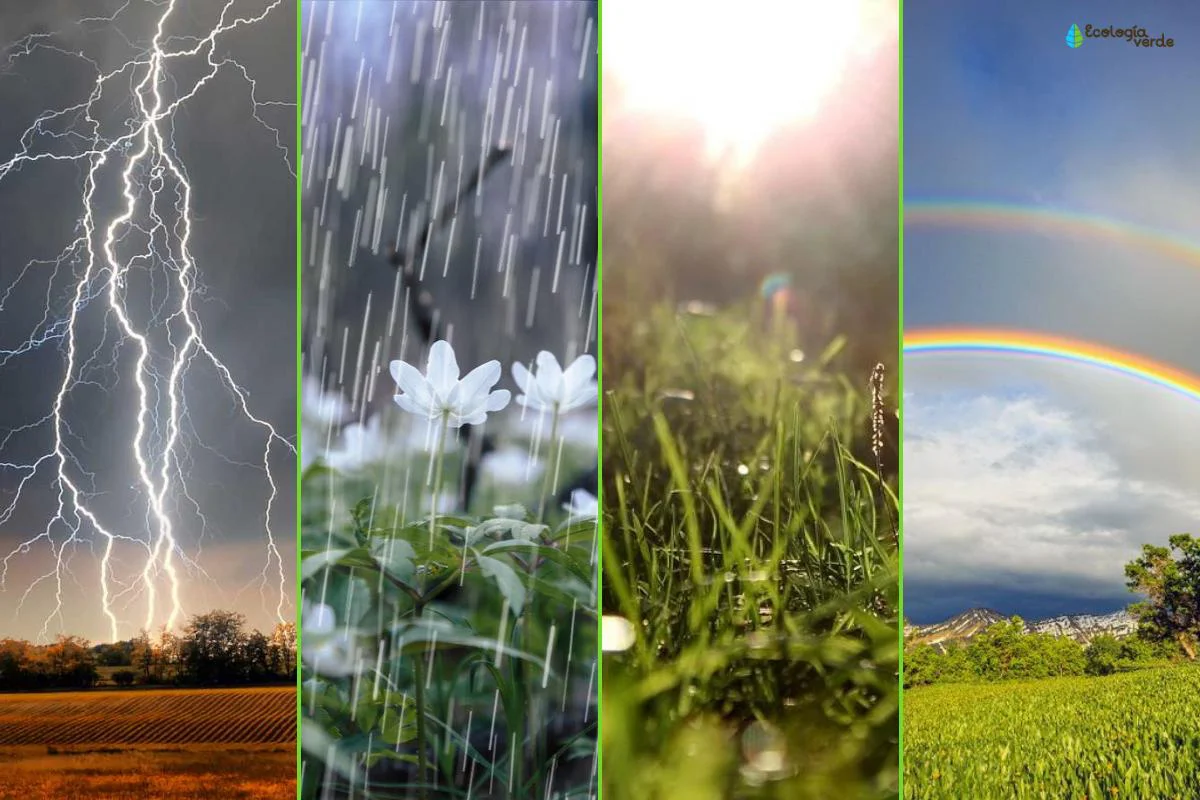 que_es_la_meteorologia_3928_orig