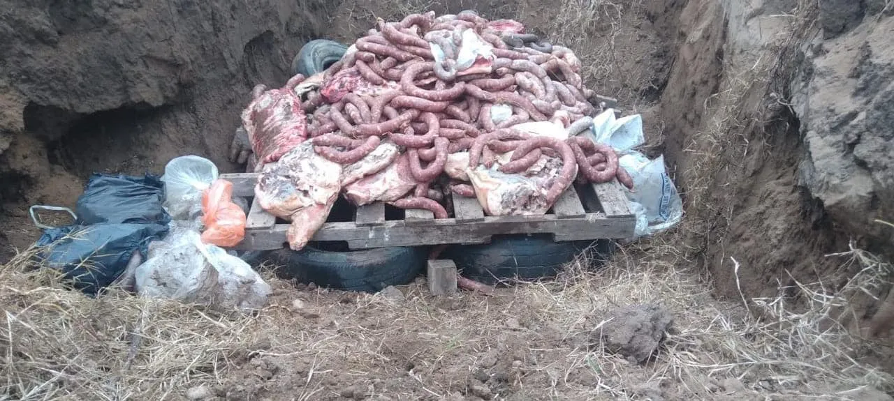 448896984_953947473438786_4607060502247063586_n