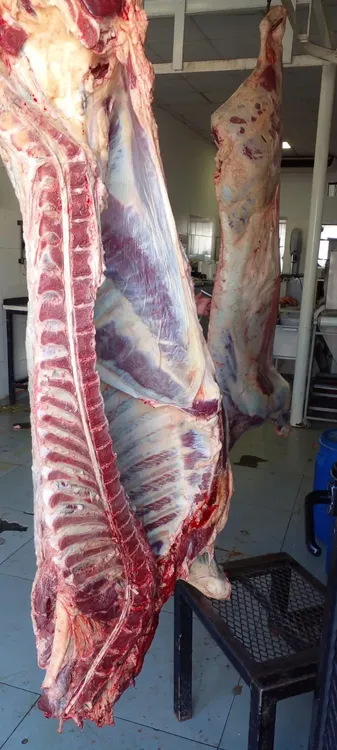 432432283_2312205538984456_864816878619855528_n