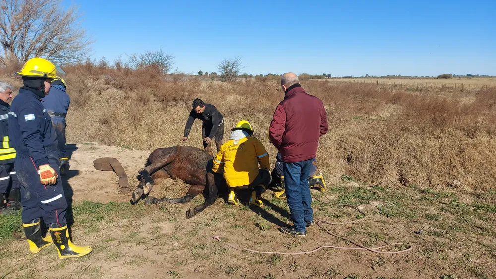 450356935_1024357392386478_5962974789792098008_n