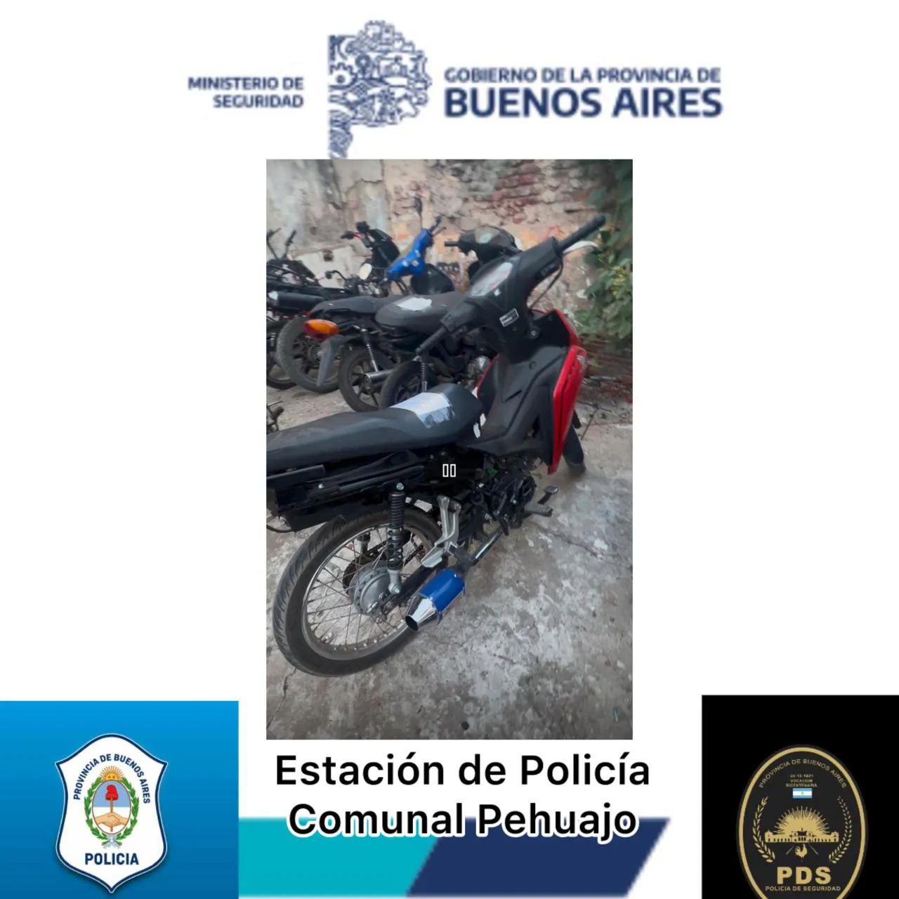 WhatsApp Image 2025-01-23 at 11.24.32