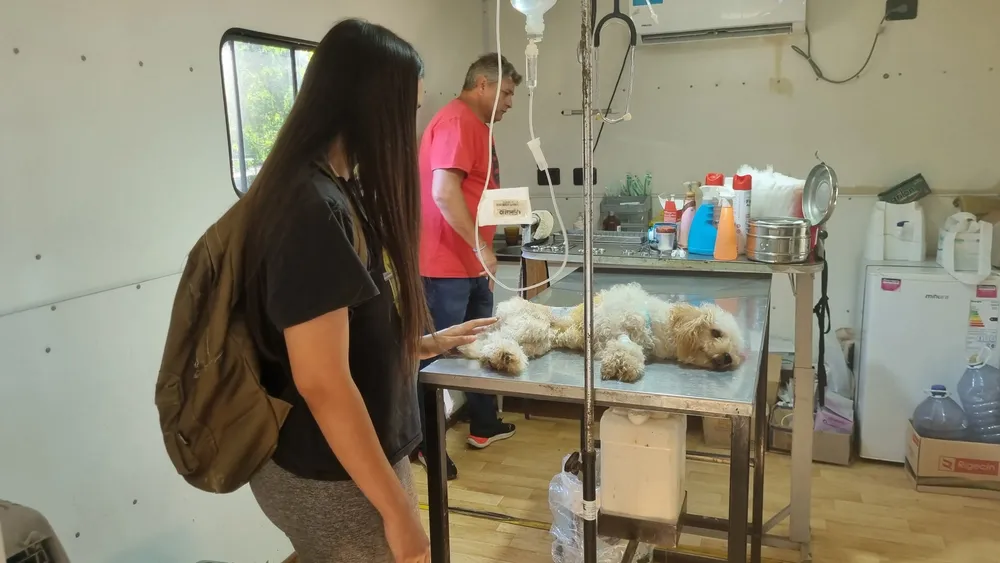 Becaria en quirófano móvil