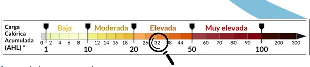 Captura de pantalla 2023-12-08 110349