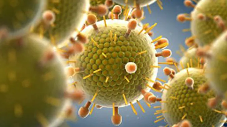 virus_sincicial_respiratorio__crean_un_mapa_de_vulnerabilidad