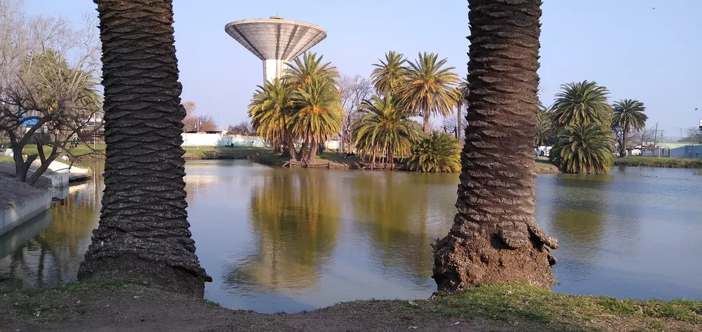 IMG_20210829_165356634