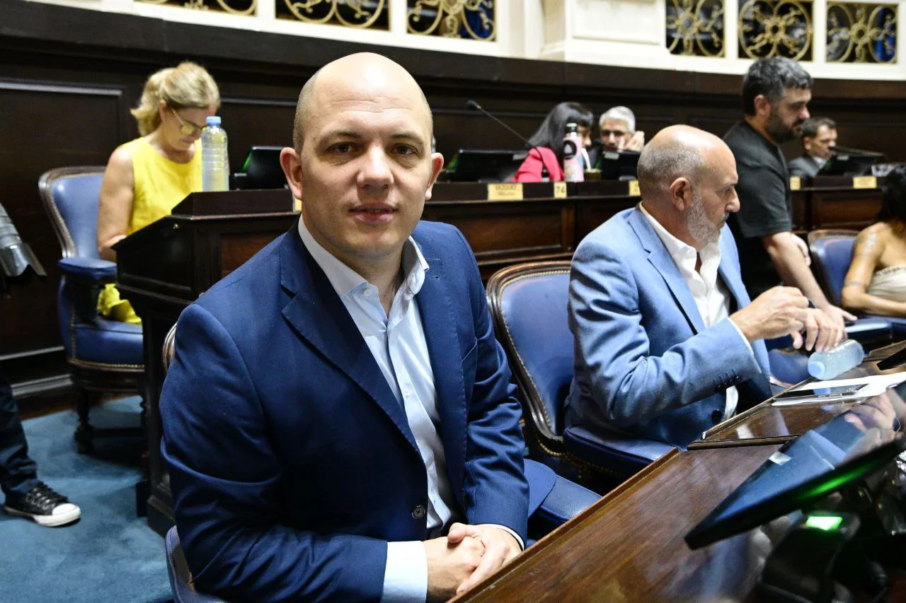 Avelino en Diputados