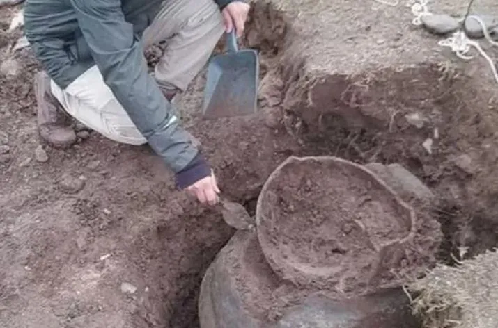 6967ee86a1801_715_472!