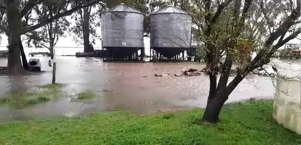 DeWatermark.ai_1758025981478