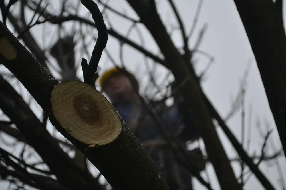 20545507_1949922131947236_7770490038553747441_o