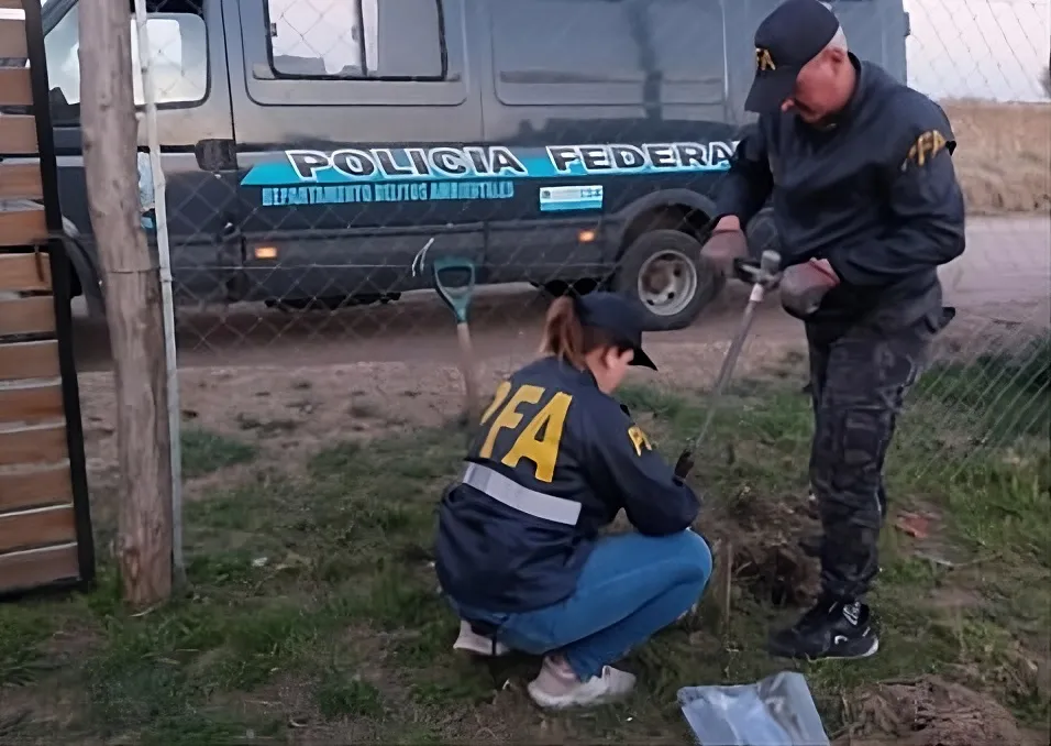 upscalemedia-transformed