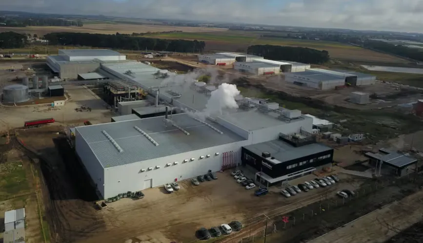 Captura de pantalla 2026-01-22 203018