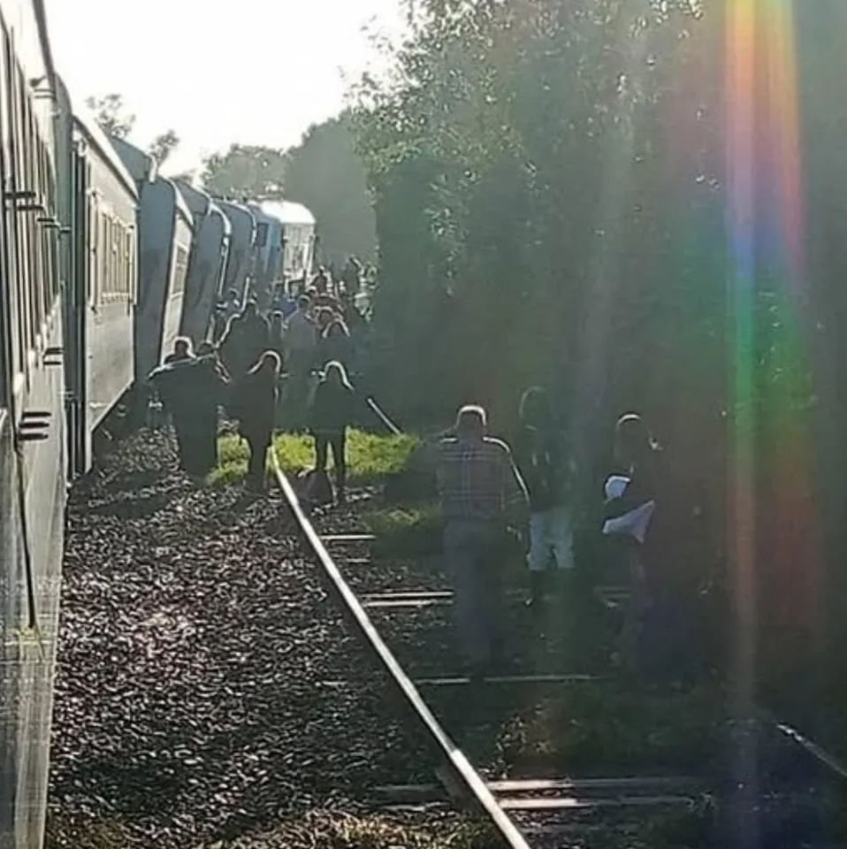 486264122_122179517516316725_3839680558660129992_n