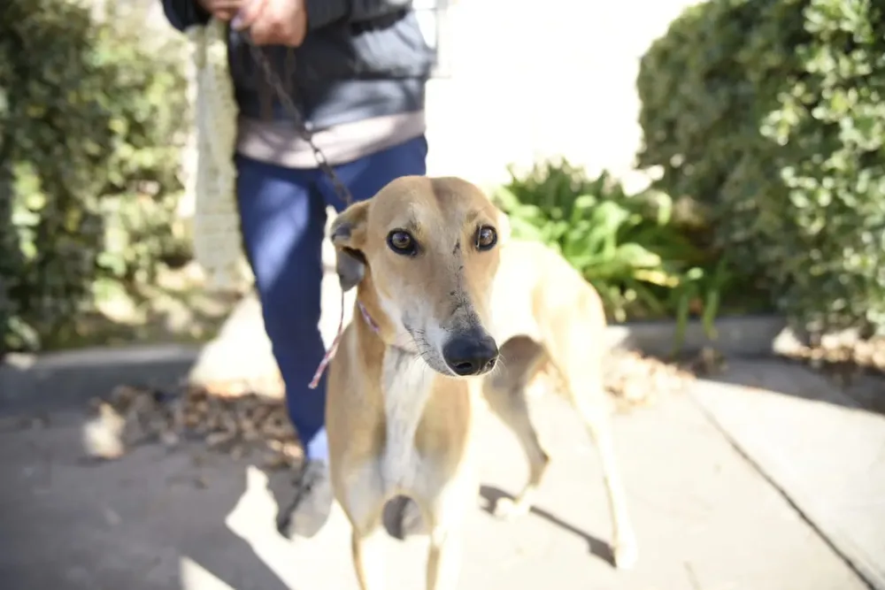 416257056_839193378247530_2310073465954384569_n (1)